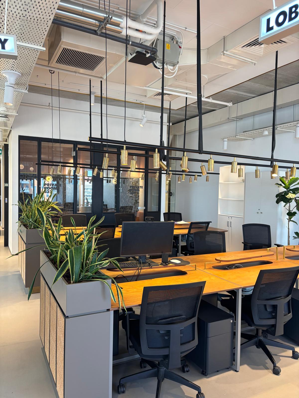 Animo workspace